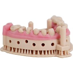 Liqcreate Dental Model Pro Beige