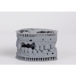 Liqcreate Dental Model Pro Grey