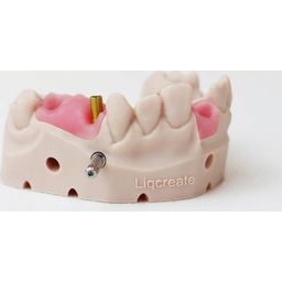 Liqcreate Gingiva Mask